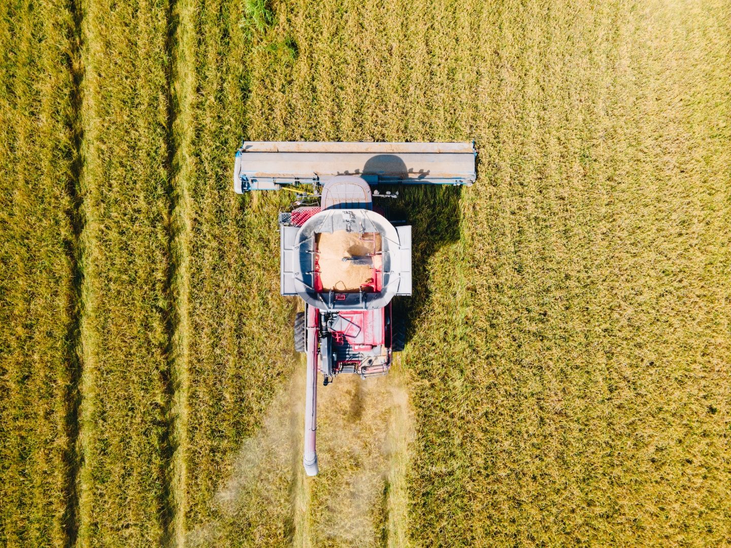 Field overhead